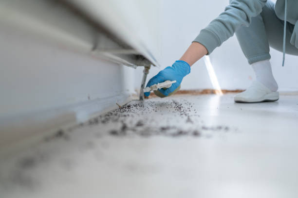 Pest Prevention Services in Elroy, NC